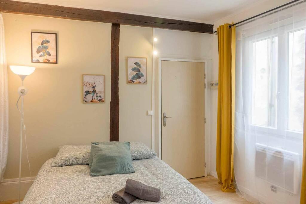 Studio Rue Pietonne Orléans Buitenkant foto